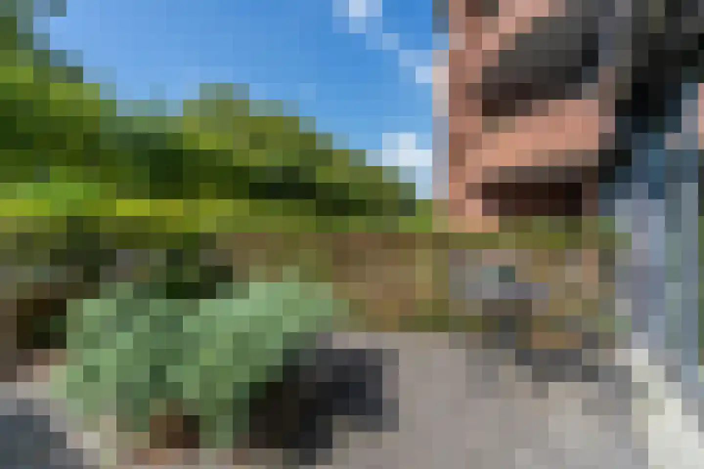Hortensiastraat 6 A Sint-Michielsgestel thumbnail 21