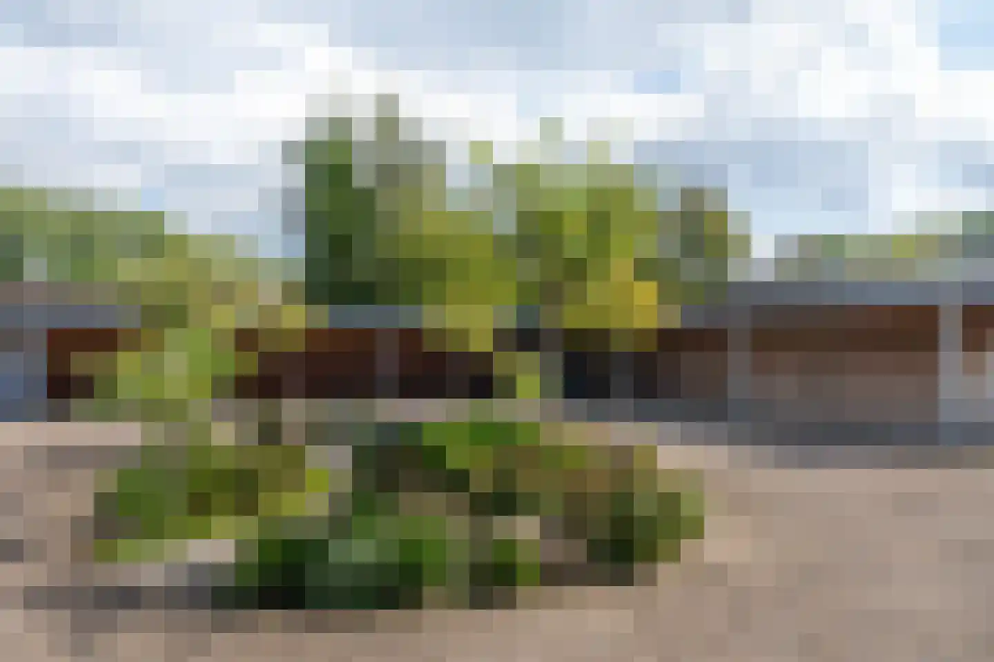 Hortensiastraat 6 A Sint-Michielsgestel thumbnail 27