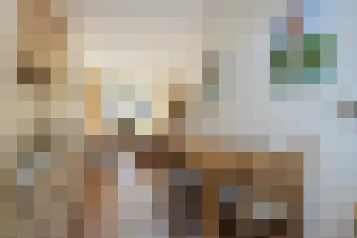 Hortensiastraat 6 Almelo thumbnail 10