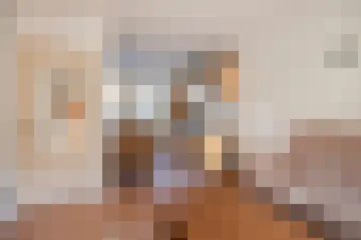 Hortensiastraat 6 Almelo thumbnail 7
