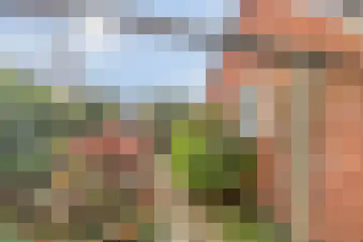 Hortensiastraat 6 Assen thumbnail 16