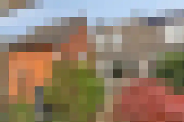 Hortensiastraat 6 Assen thumbnail 17