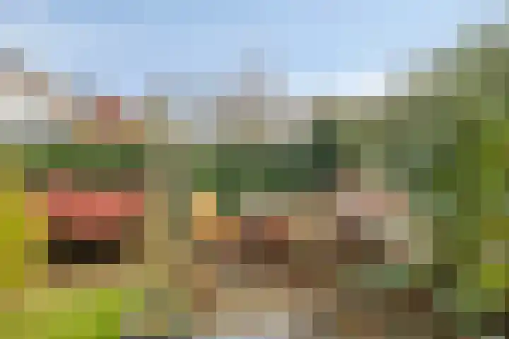 Hortensiastraat 6 Assen thumbnail 18