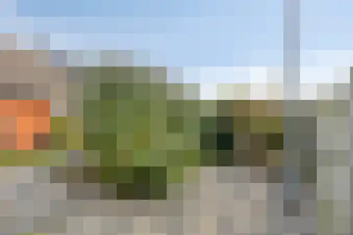 Hortensiastraat 6 Assen thumbnail 19