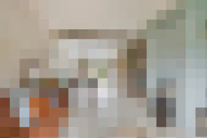 Hortensiastraat 6 Assen thumbnail 4