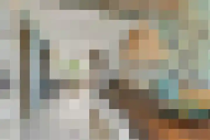Hortensiastraat 6 Assen thumbnail 6