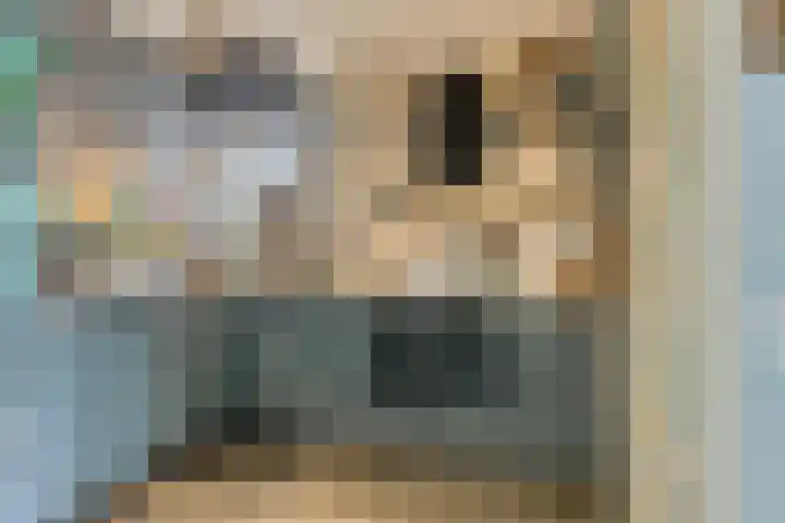 Hortensiastraat 6 Assen thumbnail 7