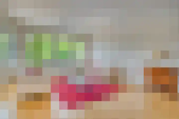 Hortensiastraat 6 F Sint-Michielsgestel thumbnail 12