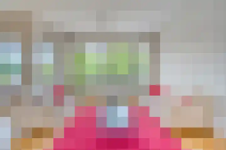 Hortensiastraat 6 F Sint-Michielsgestel thumbnail 13
