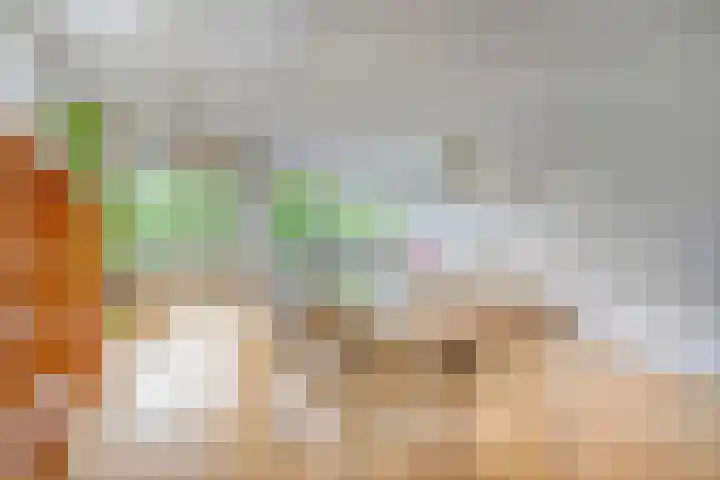 Hortensiastraat 6 F Sint-Michielsgestel thumbnail 16