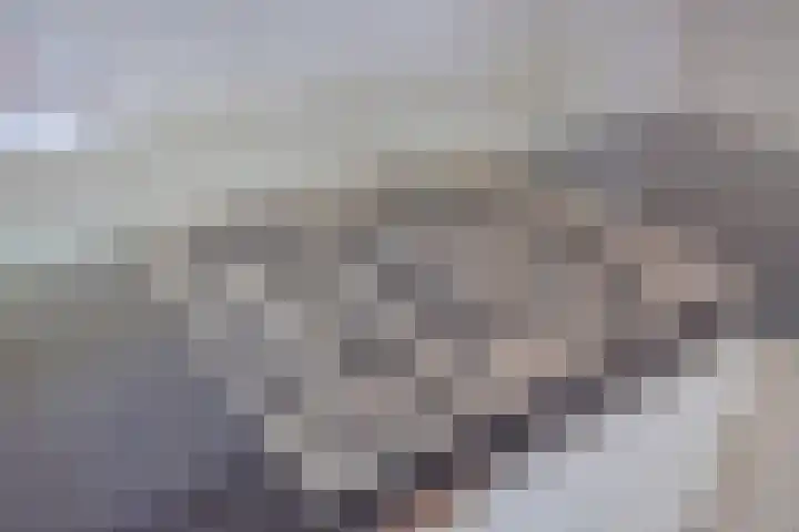Hortensiastraat 6 F Sint-Michielsgestel thumbnail 22