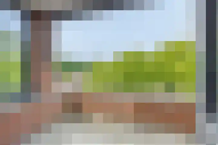Hortensiastraat 6 F Sint-Michielsgestel thumbnail 25