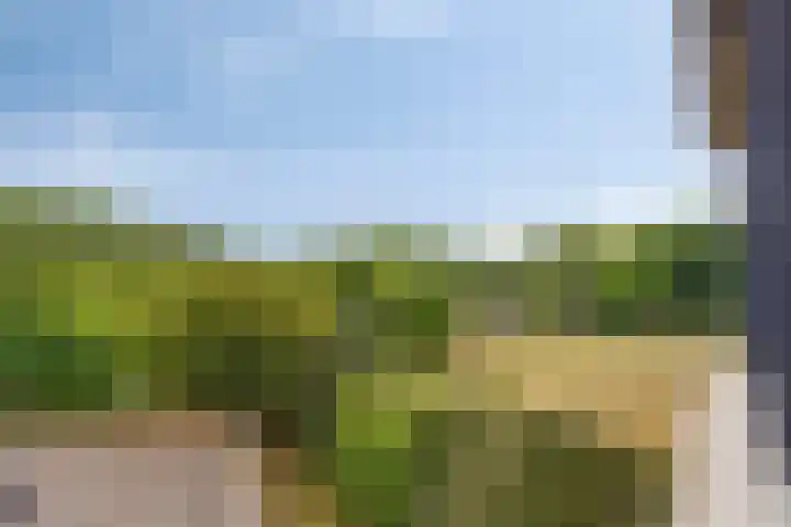 Hortensiastraat 6 F Sint-Michielsgestel thumbnail 26