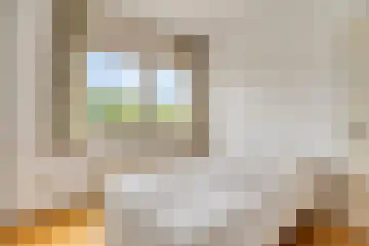 Hortensiastraat 6 F Sint-Michielsgestel thumbnail 27