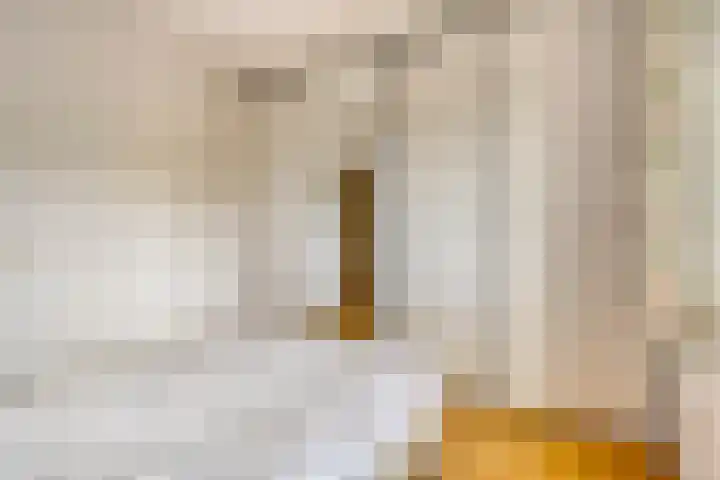 Hortensiastraat 6 F Sint-Michielsgestel thumbnail 28