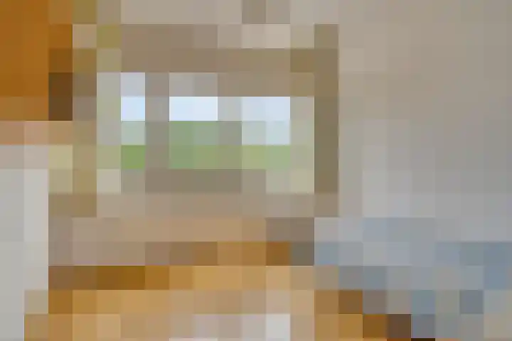 Hortensiastraat 6 F Sint-Michielsgestel thumbnail 32