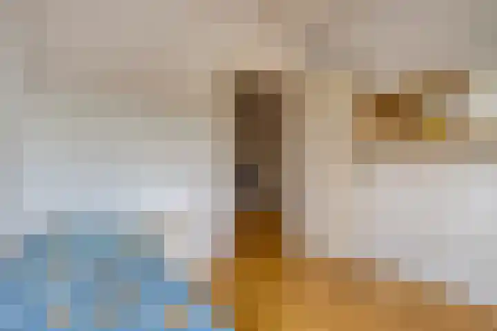 Hortensiastraat 6 F Sint-Michielsgestel thumbnail 33