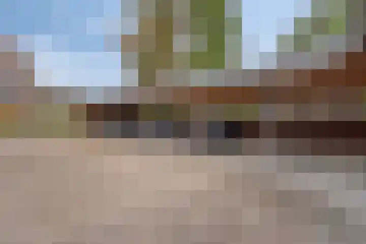 Hortensiastraat 6 F Sint-Michielsgestel thumbnail 37