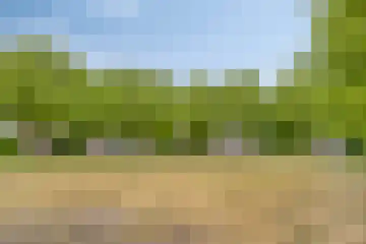 Hortensiastraat 6 F Sint-Michielsgestel thumbnail 39