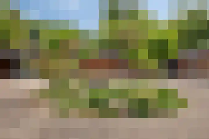 Hortensiastraat 6 F Sint-Michielsgestel thumbnail 4