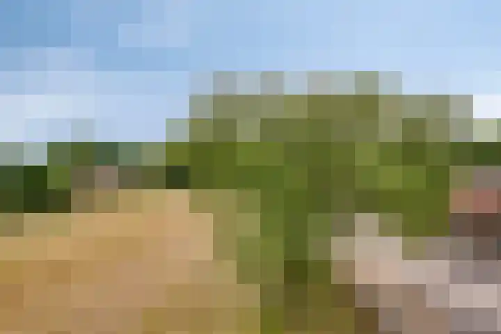 Hortensiastraat 6 F Sint-Michielsgestel thumbnail 40