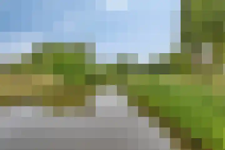Hortensiastraat 6 F Sint-Michielsgestel thumbnail 42