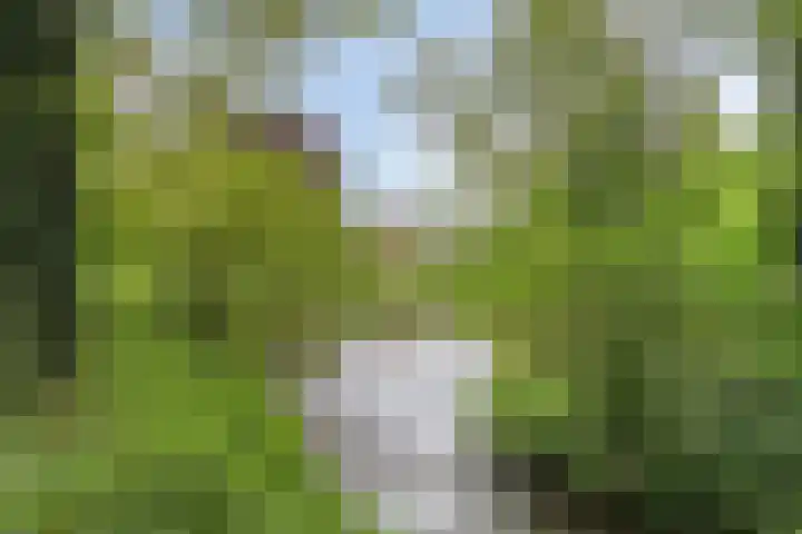 Hortensiastraat 6 F Sint-Michielsgestel thumbnail 44