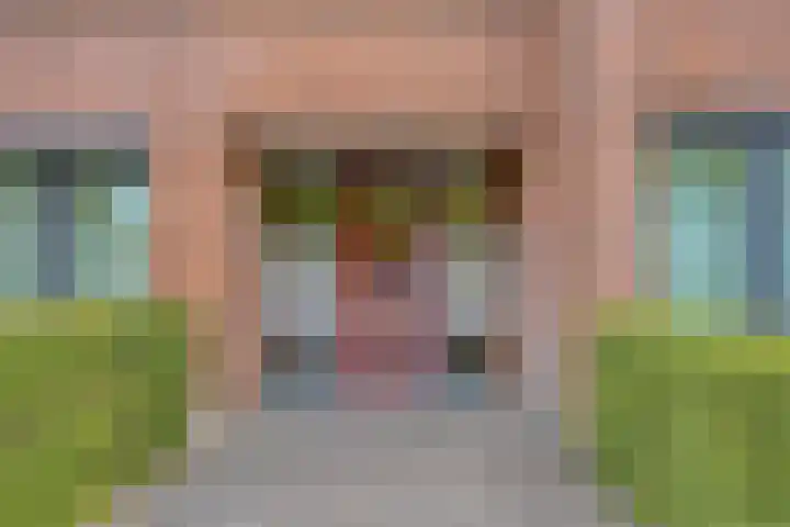 Hortensiastraat 6 F Sint-Michielsgestel thumbnail 6
