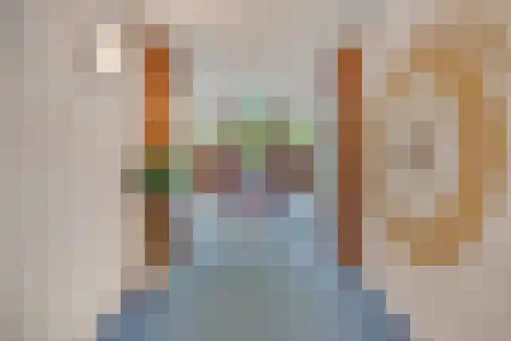 Hortensiastraat 6 F Sint-Michielsgestel thumbnail 7