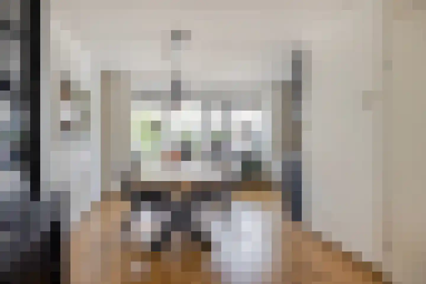 Hortensiastraat 6 Hengelo thumbnail 11
