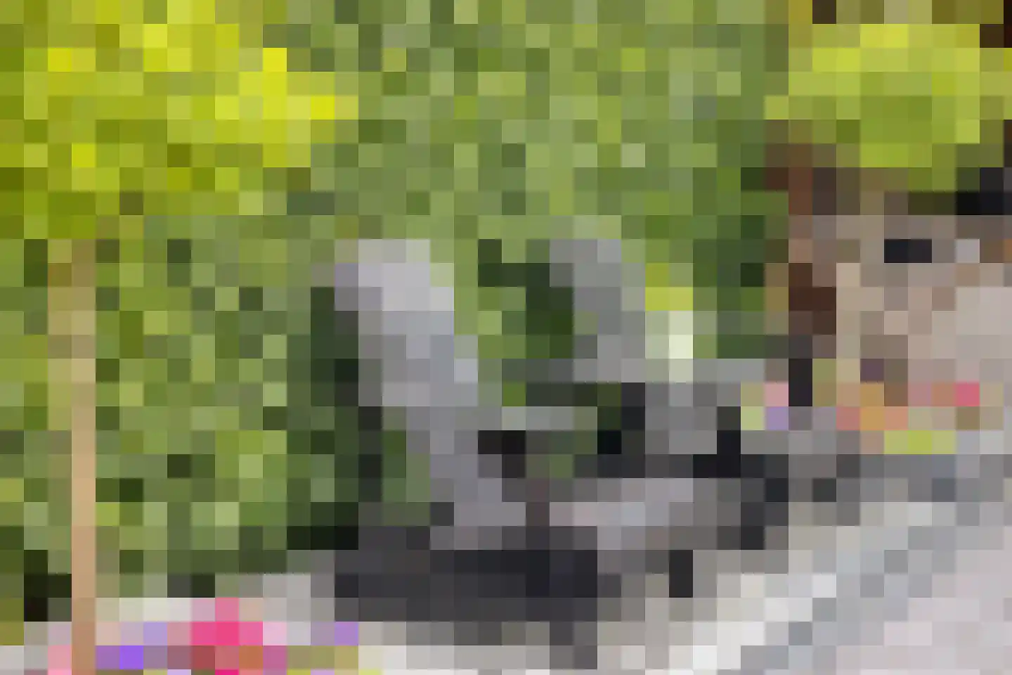 Hortensiastraat 6 Hengelo thumbnail 17