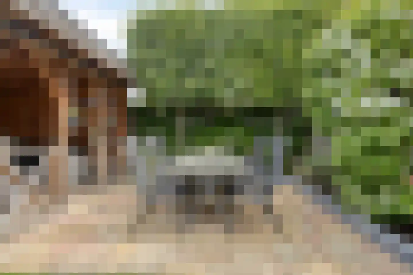 Hortensiastraat 6 Hengelo thumbnail 19
