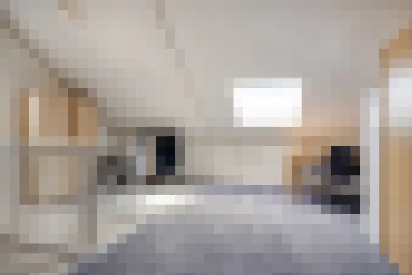 Hortensiastraat 6 Hengelo thumbnail 30