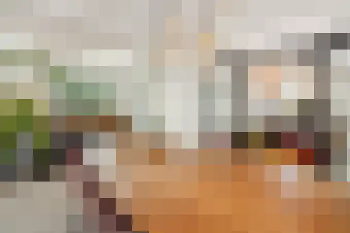 Hortensiastraat 6 Rosmalen thumbnail 10