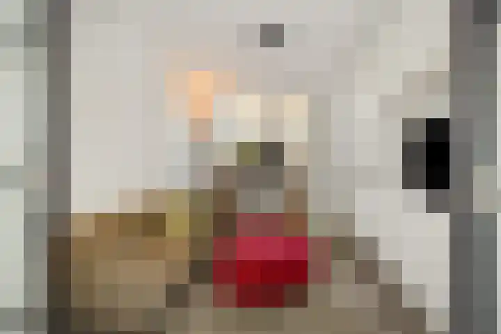 Hortensiastraat 6 Rosmalen thumbnail 12