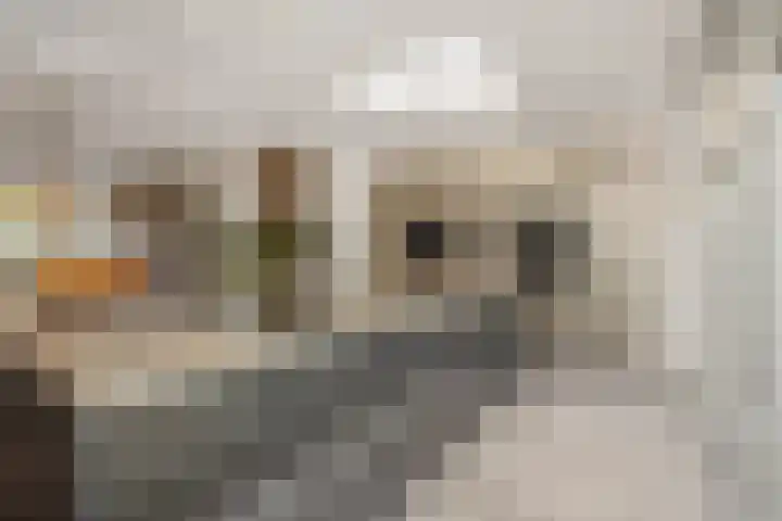 Hortensiastraat 6 Rosmalen thumbnail 14