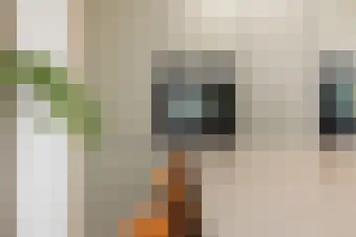 Hortensiastraat 6 Rosmalen thumbnail 15
