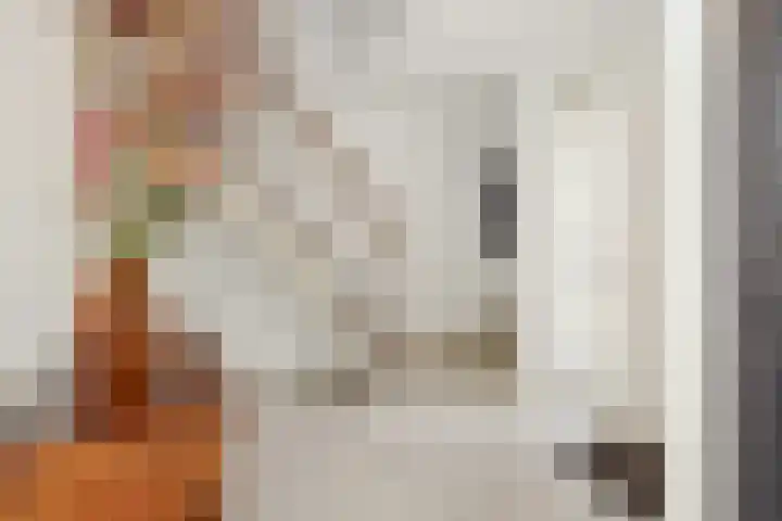 Hortensiastraat 6 Rosmalen thumbnail 29