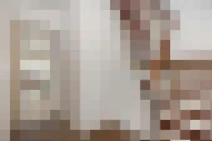Hortensiastraat 6 Rosmalen thumbnail 30