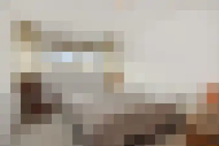 Hortensiastraat 6 Rosmalen thumbnail 31
