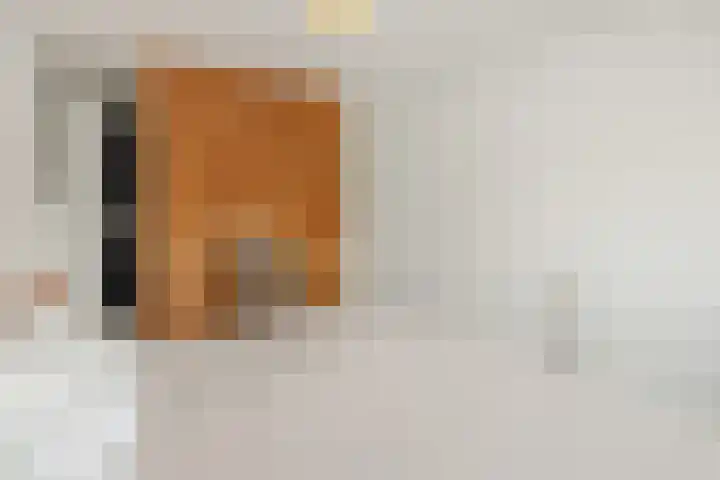 Hortensiastraat 6 Rosmalen thumbnail 32