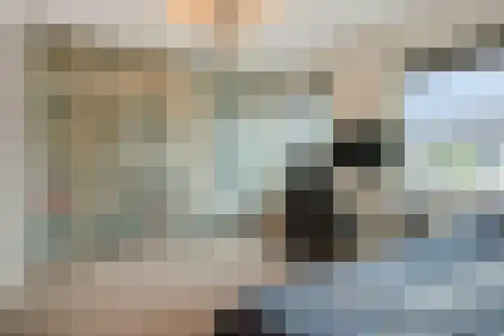Hortensiastraat 6 Rosmalen thumbnail 34