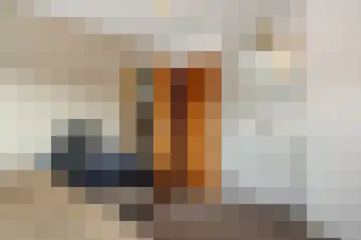 Hortensiastraat 6 Rosmalen thumbnail 35