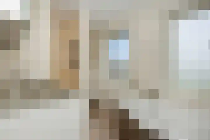 Hortensiastraat 6 Rosmalen thumbnail 37