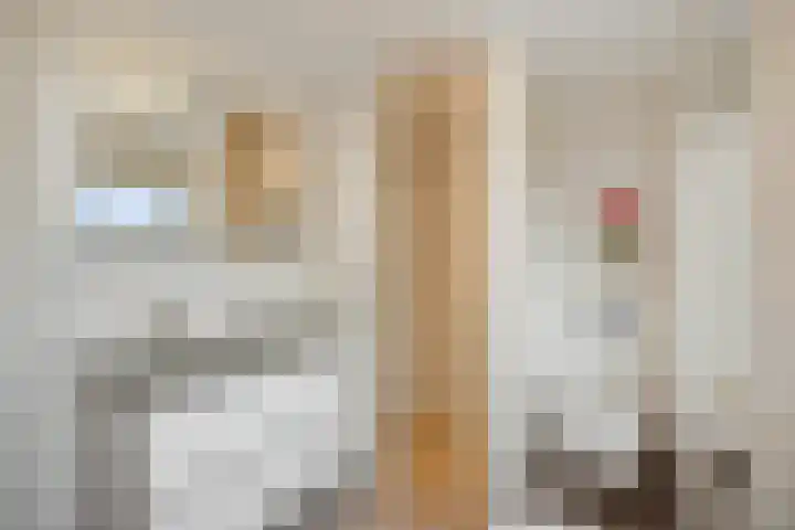 Hortensiastraat 6 Rosmalen thumbnail 38