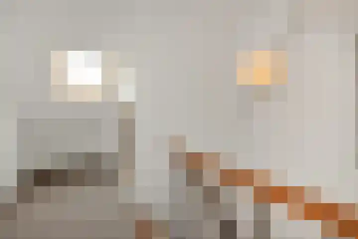 Hortensiastraat 6 Rosmalen thumbnail 40