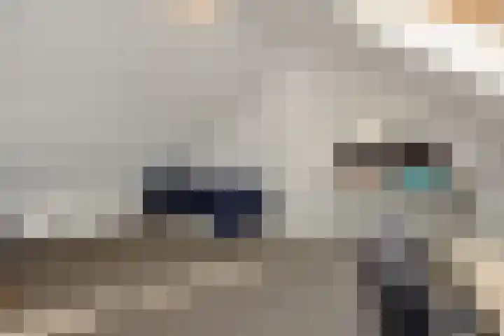 Hortensiastraat 6 Rosmalen thumbnail 42