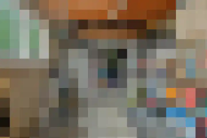 Hortensiastraat 6 Rosmalen thumbnail 43