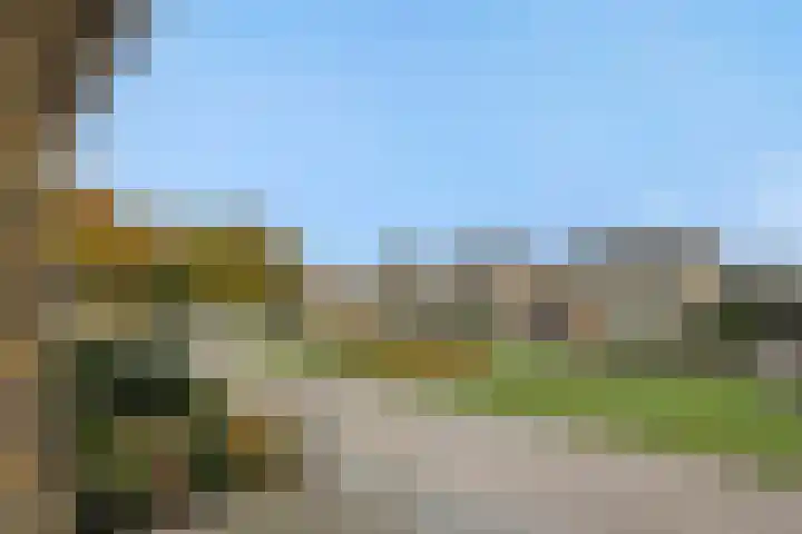 Hortensiastraat 6 Rosmalen thumbnail 44