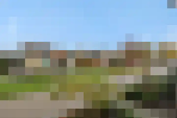 Hortensiastraat 6 Rosmalen thumbnail 45